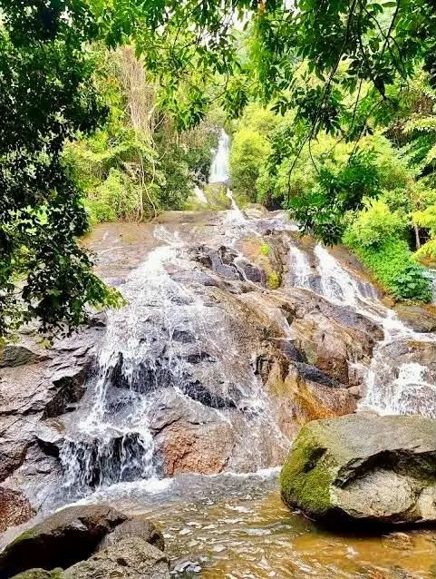 Koh Samui Zwiedzanie i Dżungli