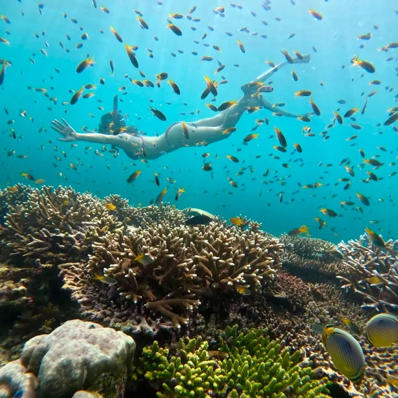 Wyspa Similan