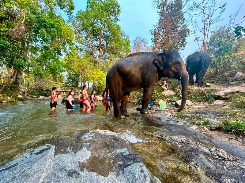 Chiang Mai Camp (2 dni, 1 noc)