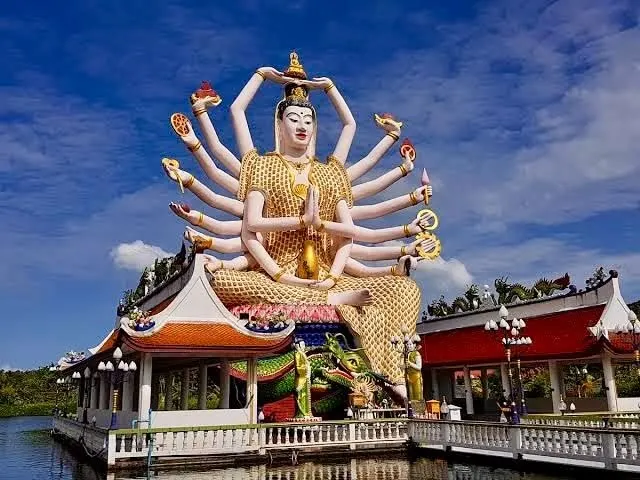 Koh Samui Zwiedzanie i Dżungli