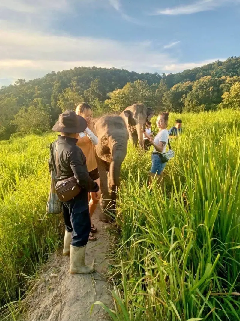 Chiang Mai Camp (2 dni, 1 noc)