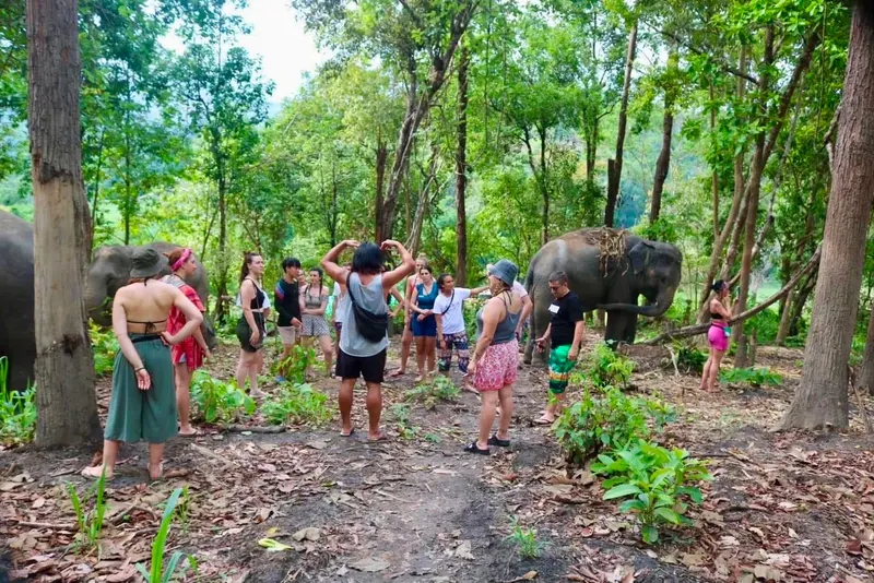 Chiang Mai Camp (2 dni, 1 noc)