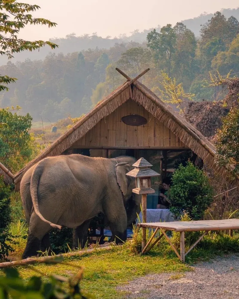 Chiang Mai Camp (2 dni, 1 noc)