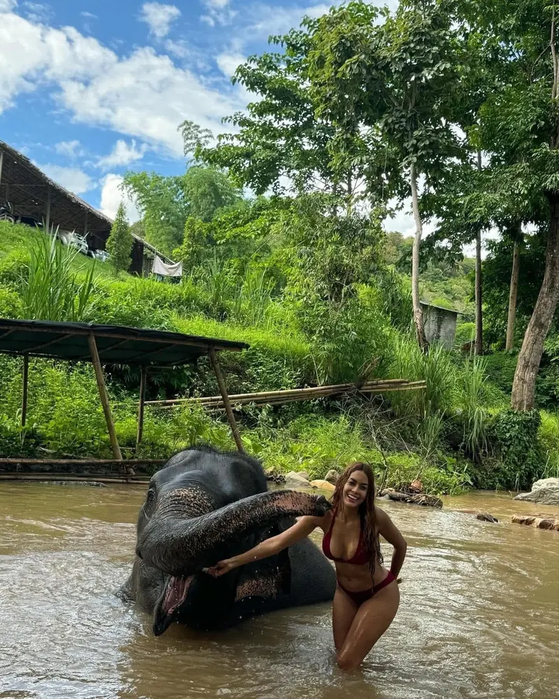 Chiang Mai Camp (2 dni, 1 noc)
