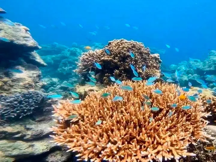 Wyspa Similan