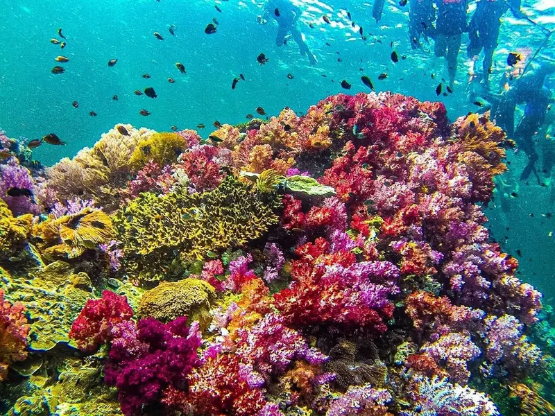 KohLipe (2 noce)