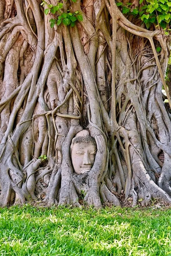Ayutthaya — Tajlandia