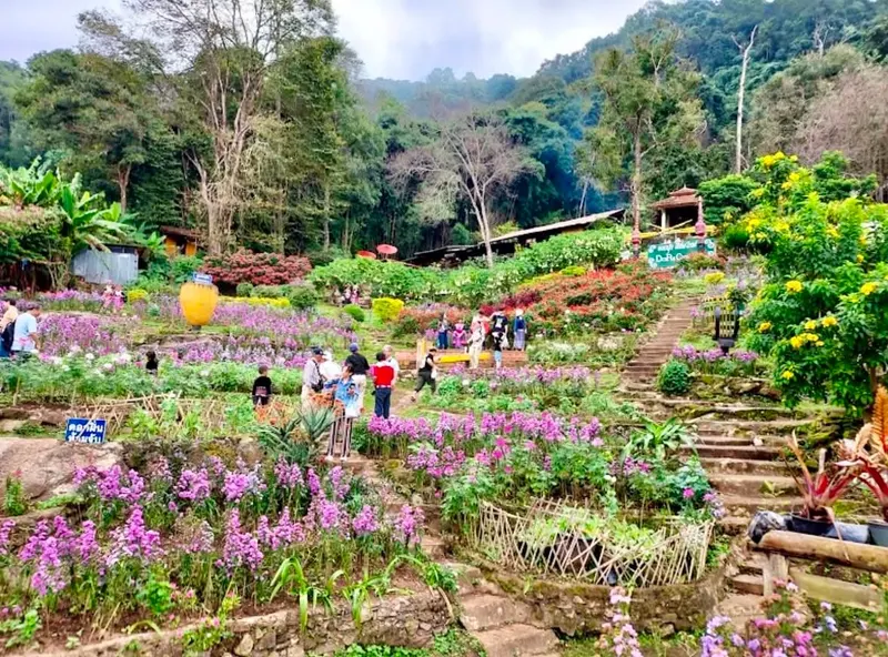 Chiang Mai Wiara i Styl Życia