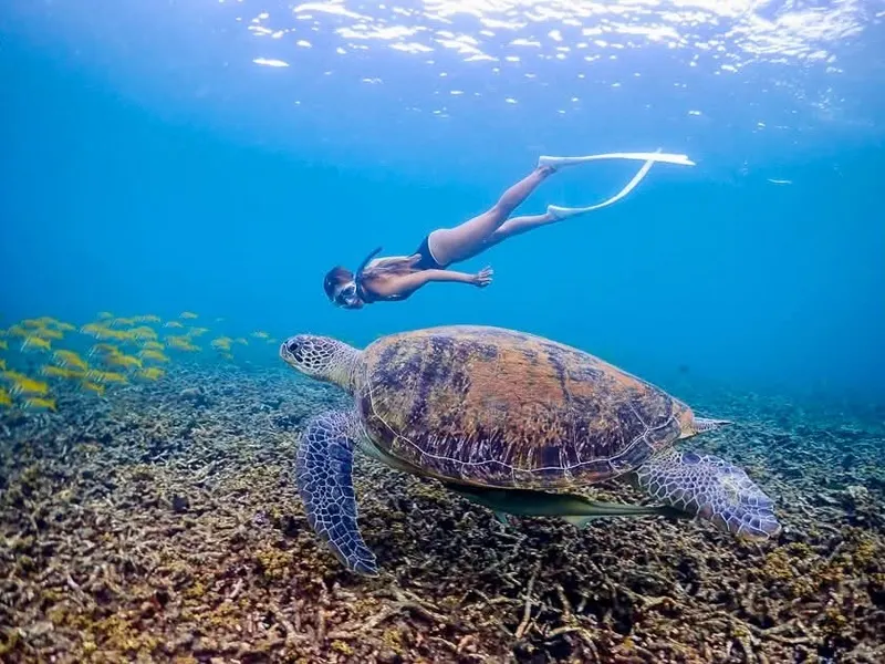Koh Nangyuan i Koh Tao Katamaran