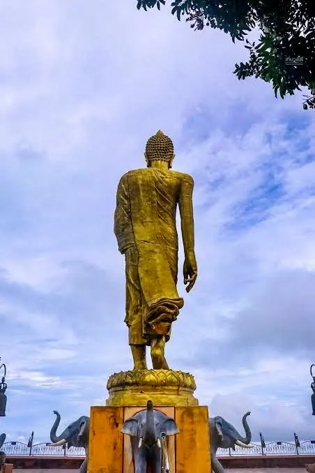 Koh Samui Zwiedzanie i Dżungli