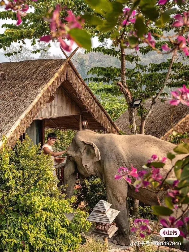 Chiang Mai Camp (2 dni, 1 noc)