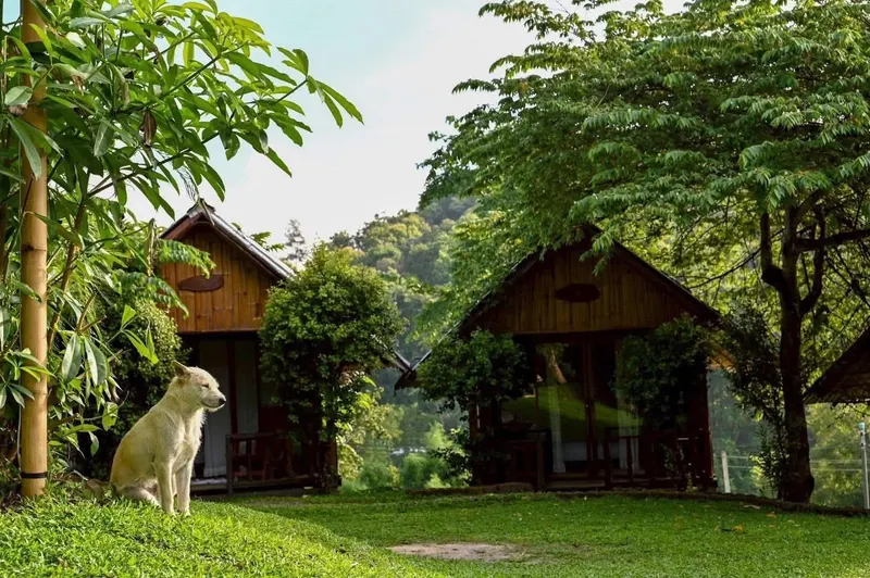 Chiang Mai Camp (2 dni, 1 noc)